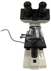 Amscope Binocular Compound Microscope