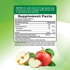 Organic Apple Cider Vinegar Gummies 120 Count apple Flavor  free Shipping 