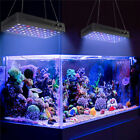165w Aquarium Light Full Spectrum Led Coral Reef Grow Lamp For Marine Fish Tank