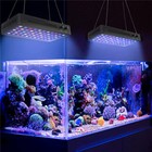 Phlizon 300w Led Aquarium Light 48  Dimmable For Marine Coral Reef Sps Lps Grow