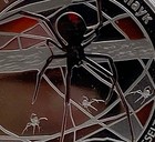 2011 Red Back Spider Tuvalu Perth Mint Proof Coin - Pre-owned Russian Version