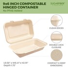 Compostable Clamshell Take Out Food Container 9x6 Inch  Sugarcane Bagasse