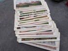 1904 St Louis World   s Fair Stereoscope 70  Stereo Cards Rare Rare