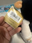 Disney Bean Bag Plush - Gemini Pooh  winnie The Pooh   8 Inch  - Mint