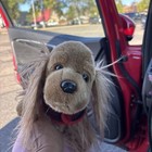 Russ Berrie Cocker Spaniel Realistic Dog Plush 2019 Sitting Brown 11 Inch Collar