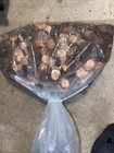 Bag Of Pennies  Unsesrched   Copper And Regular Cent Coins   From Local Casino