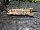 Old Rare Vintage Antique Civil War Hand-forged Square Nails Richmond  Va Camp
