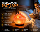 Fire Bowl Himalayan Crystal Rock Salt Lamp Ionizer Air Purifier Dimmer Cord