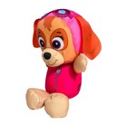 Paw Patrol Skye Swim Huggable Water Float Toy Ages 1  Pool Beach Bath