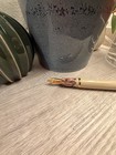 Esterbrook X Thecoffeemonsterzco Limited Edition Fountain Pen Mnib pics Updated 