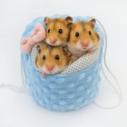 Drawstring Cord Small Pet Carriers Bag Easy To Carry For Hamster Outdoor