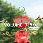 Ant Moat For Hummingbird Feeders   4 Pack  7 Oz  Vintage Style Humingbird Feeder