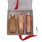 Bath And Body Works Warm Vanilla Sugar Fragrance Gel Mist  Lotion Gift Box Set