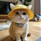 Pet Bucket Hat For Cats   Dogs - Bestseller  Sun Protection  Ear-friendly Design