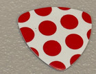 Buddy Guy Signature Guitar Pick Buddy s 2024 Concert Tour Stage Plectrum Rare