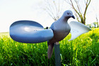 Mojo Outdoors - Premium Waterfowl And Duck Hunting Decoys