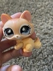 Littlest Pet Shop Cat  870 Authentic Hasbro