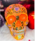 Haunted Doll Amunet-djinn Spirit-paranormal-creepy Skull-possessed Object