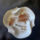Vintage Multnomah Falls Oregon Porcelain Ashtray Trinket Dish Mid Century