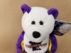 Minnesota  32 Limited Treasures Coin Bear 50 States Of America Bears Nwt