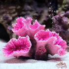 Artificial Resin Coral Plant Reef Aquarium Landscaping Fish Tank Ornament Decor