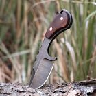 Hunting Fixed Blade Knife Tactical Full Tang Knife Camping Survival Edc   Sheath