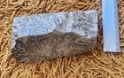 A   Big Stone From  Sinai Mountain With A Burning Bush 