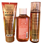 In The Sun Fragrance Mist Body Cream Shower Gel Gift Wrap Set Bath Body Works