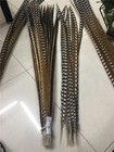 Wholesale 10   50pcs High Quality Natural Rare Pheasant Tail Feathers 30-170 Cm