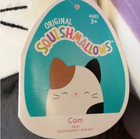 Squishmallows 8  Cameron The Cat Stuffed Animal Plush Nwt - Usa Seller