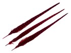 10 Pieces -18-22  Red Wine Dyed Over Natural Long Ringneck Pheasant Tail Feather