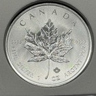 2019 Elizabeth Ii 5 Dollars Canadian Maple With Privy  9999 Fine Silver  No Milk