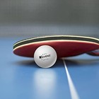 1500-pack Ping Pong Balls  3 Star Advanced Table Tennis Balls  Bulk