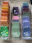 New Scentsy Wax Spring summer fall winter