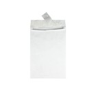 Secure White Expansion Envelope  10x13  Bulk Mailing  Resists Moisture