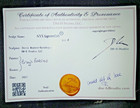 Werepup Reborn Babydoll With Birth Cert coa dm-h Studio  Llc Painted   Rooted