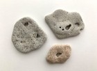 3 Holey Rocks Heart Shaped Hole Stone Adder Hag Fairy Wish Natural Beach 3h     Us