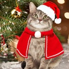 3   Pet Christmas Costume Outfit Santa Hat   Cloak  Scarf For Small Cats Dogs Usa