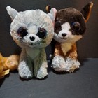 Cat Plush Lot