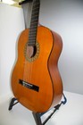 Vintage 1970 s Taka Tg-300 Classical Guitar Made In Japan