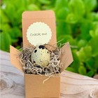 Pregnancy Announcement  Surprise  Quail Egg  Unique Baby Announcement Nib Gift