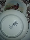Spode Woodland Set Of 12 X Dinner Plates- 12  X Unique-----3746-----