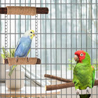 7 Piece Natural Wooden Bird Perches For Cage Small Medium Parrot Stand