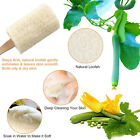Wood Loofah Back Scrubber Brush Bath Shower Body Exfoliating Long Handle Massage