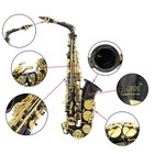 New Eb Alto Sax Complete Set - Beginner Pro Package W accessories
