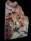 Xl Mind Blowing Birdseye Red Oak Burl Wood Blank Craft epoxy Wood  Spaghetti Oak