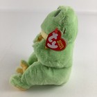 Ty Beanie Bellies Snapper Frog 8  Plush Bean Bag Stuffed Toy Amphibian With Tags