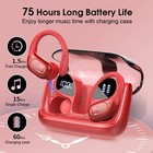 75 Hour Bluetooth 5 4 Earphone Sport Edition  Stereo  Ear Hook  Ipx7 Waterproof