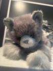 Avanti Grey Tabby Kitten Cat 16    Plush Vtg 1986 Jockline Italy Rare New W  Tags