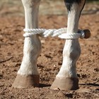 Martin Saddlery Rope Hobble - Durable Twisted Nylon Horse Hobbles With Rawhide